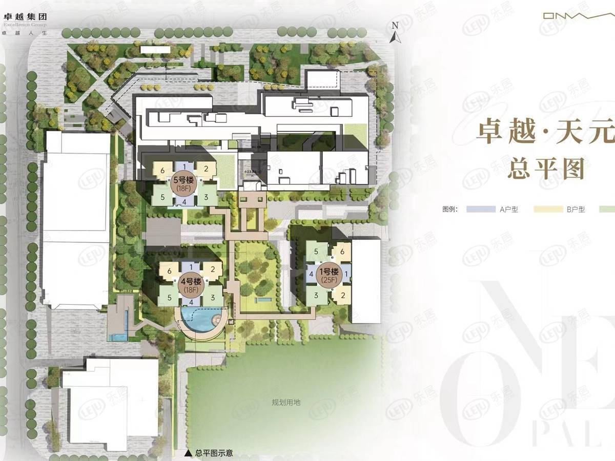 卓远天泽新动态，引领卓越未来，迈出坚实步伐
