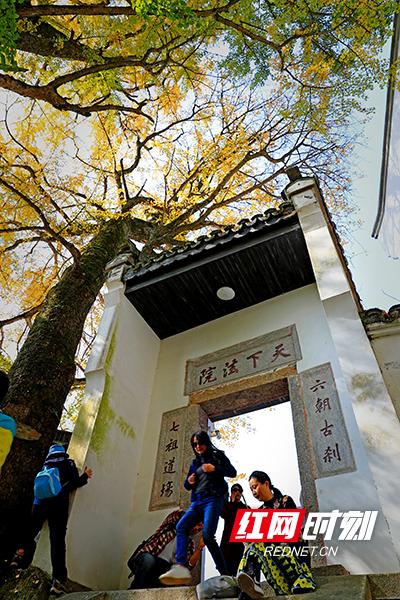 衡阳最新城市高楼风貌全景图展示