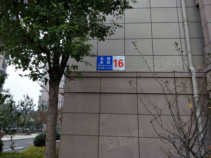 金通家园最新动态与资讯速递🏠🌱