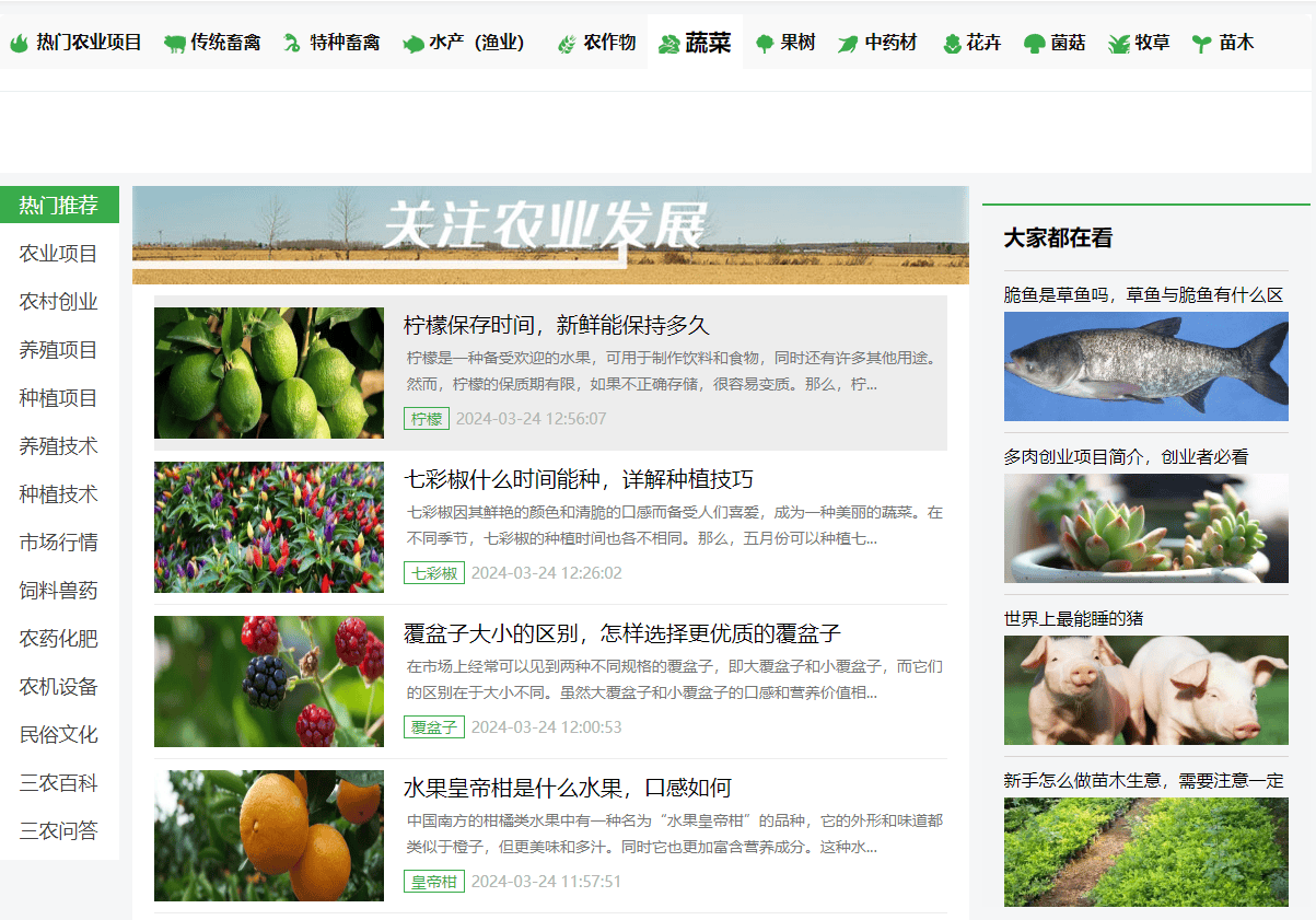 软件开发 第74页