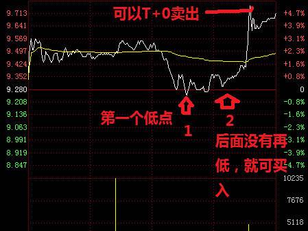 股票做T技巧，心灵与自然的投资之旅
