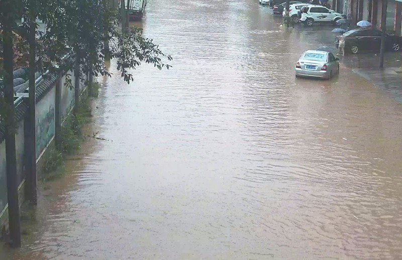 洪水最新动态，暴雨来袭引发关注