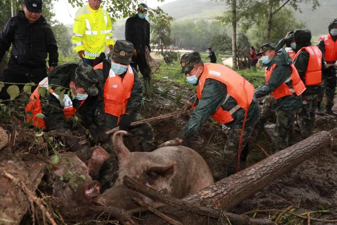 全国持续降雨情况及应对降雨的详细步骤指南