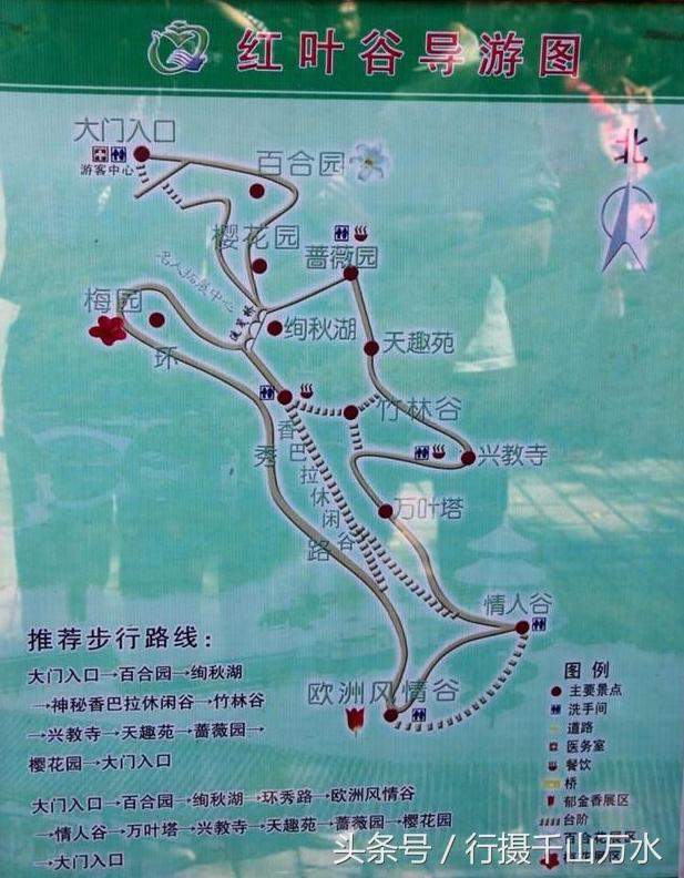 软件开发